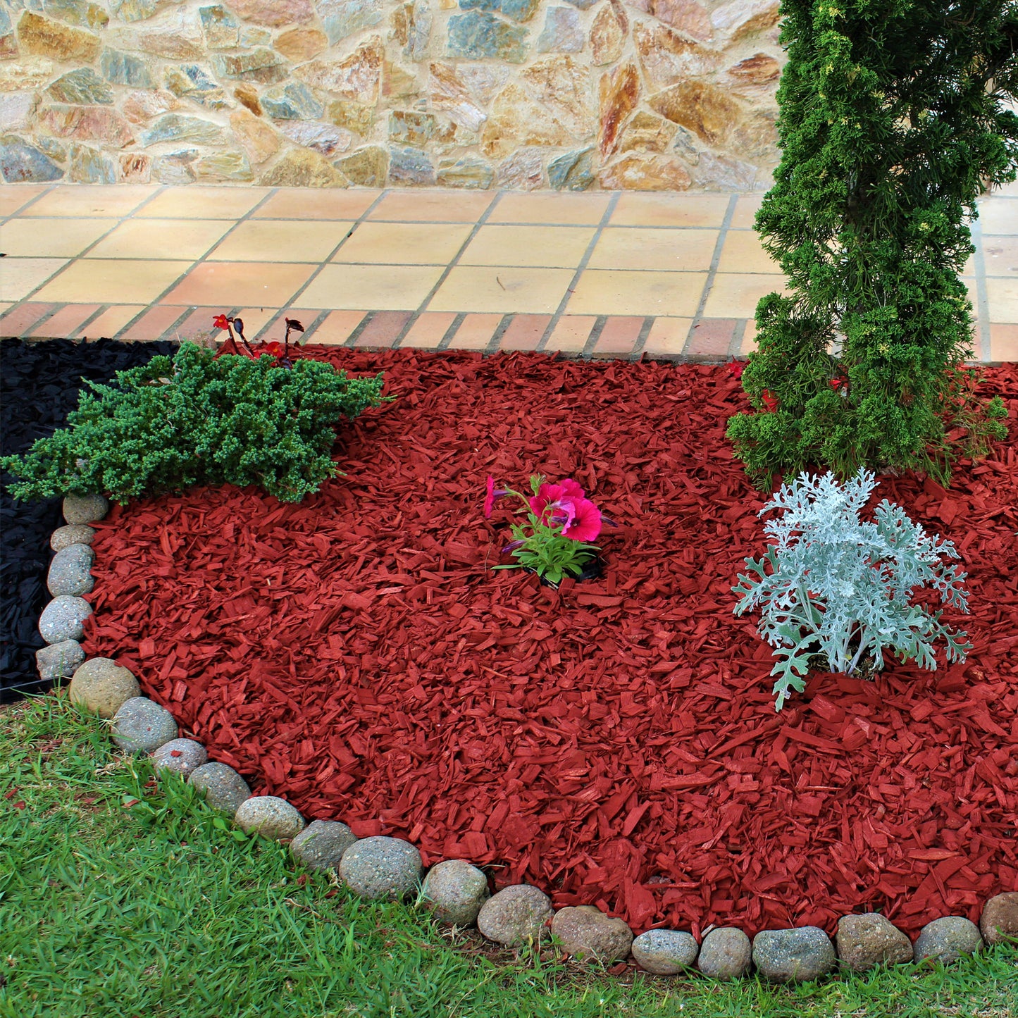 Mulch Rojo 1 Kg Tapete Orgánico Decorativo.
