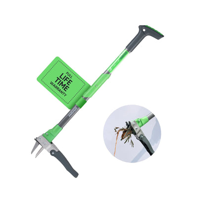 Herramienta extractor de malezas de diente de león