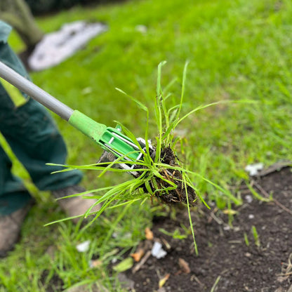 Herramienta extractor de malezas de diente de león