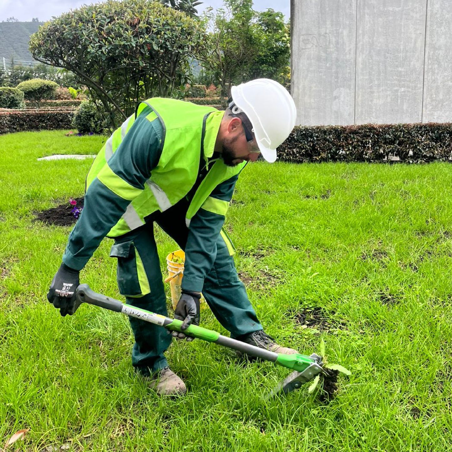 Herramienta extractor de malezas de diente de león