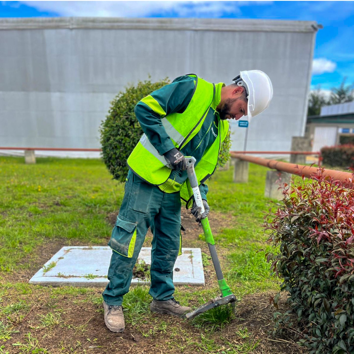 Herramienta extractor de malezas de diente de león