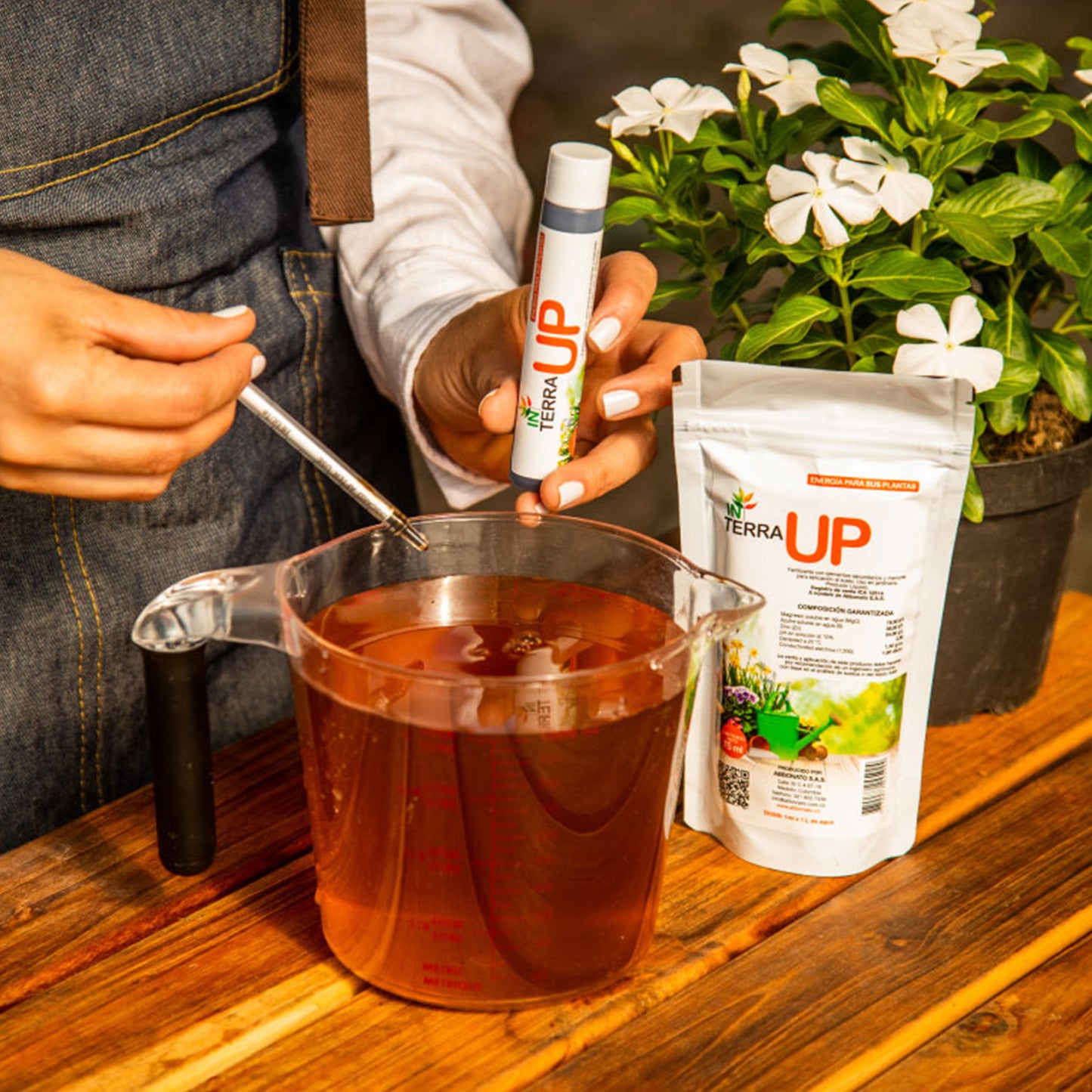 Fertilizante In Terra UP x 75 ml