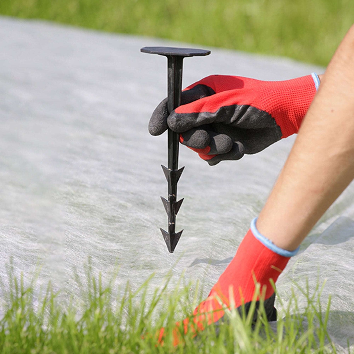 Anclaje plástico Jardinería Foto Ambiente | Jardineria.io