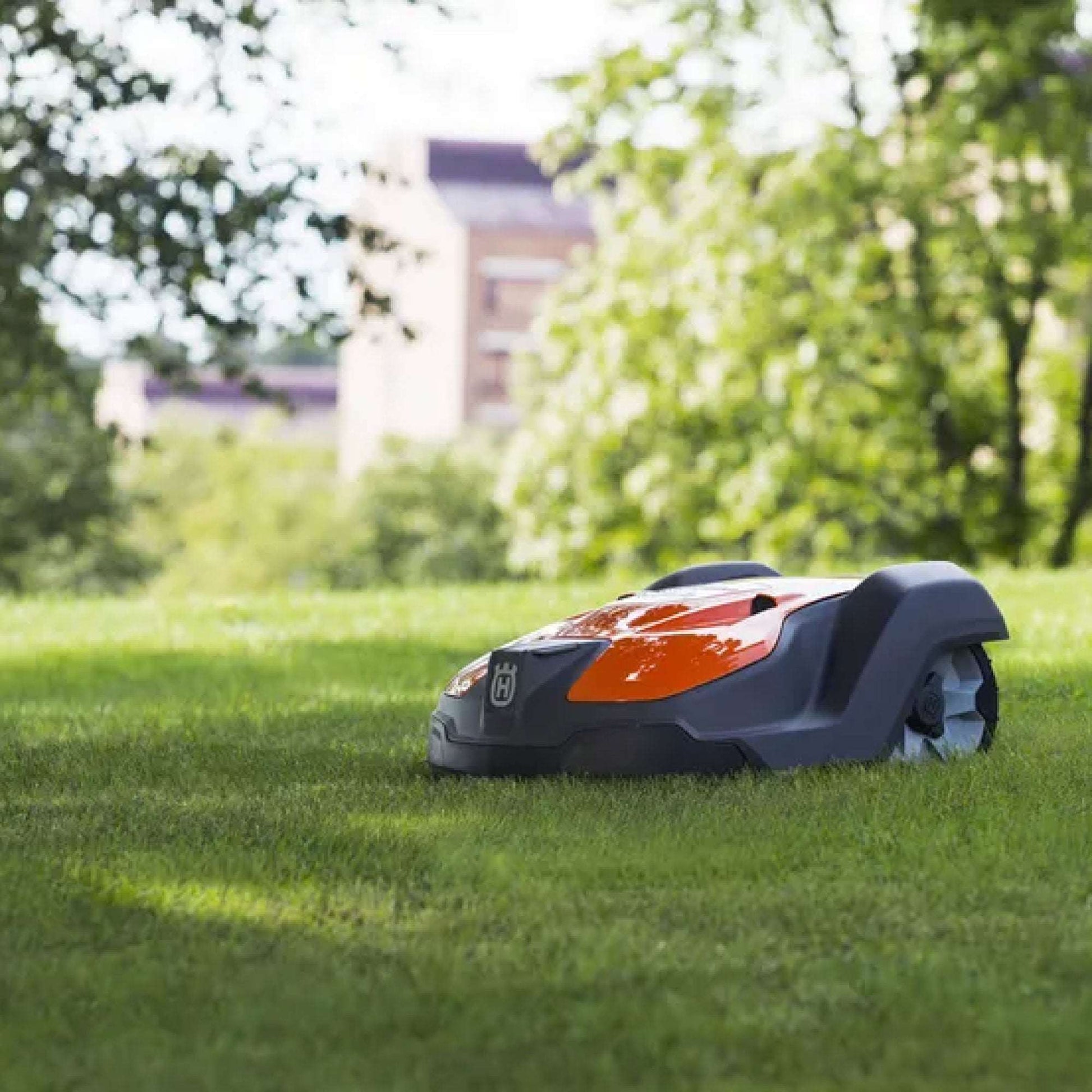 Robot Automático Cortacésped Automower 550 Vista Ambiente 1 | Jardineria.io